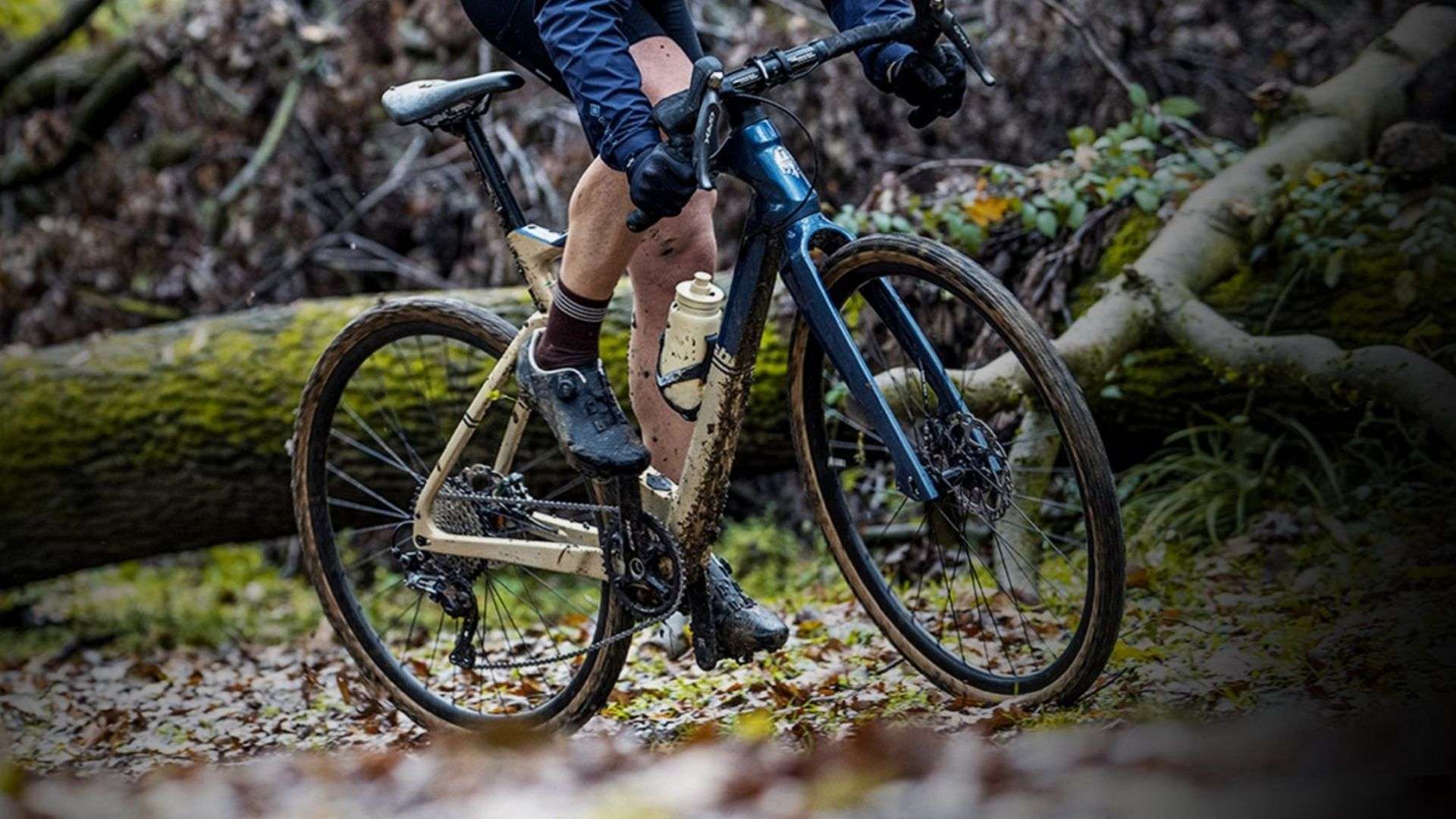 bianchi online store