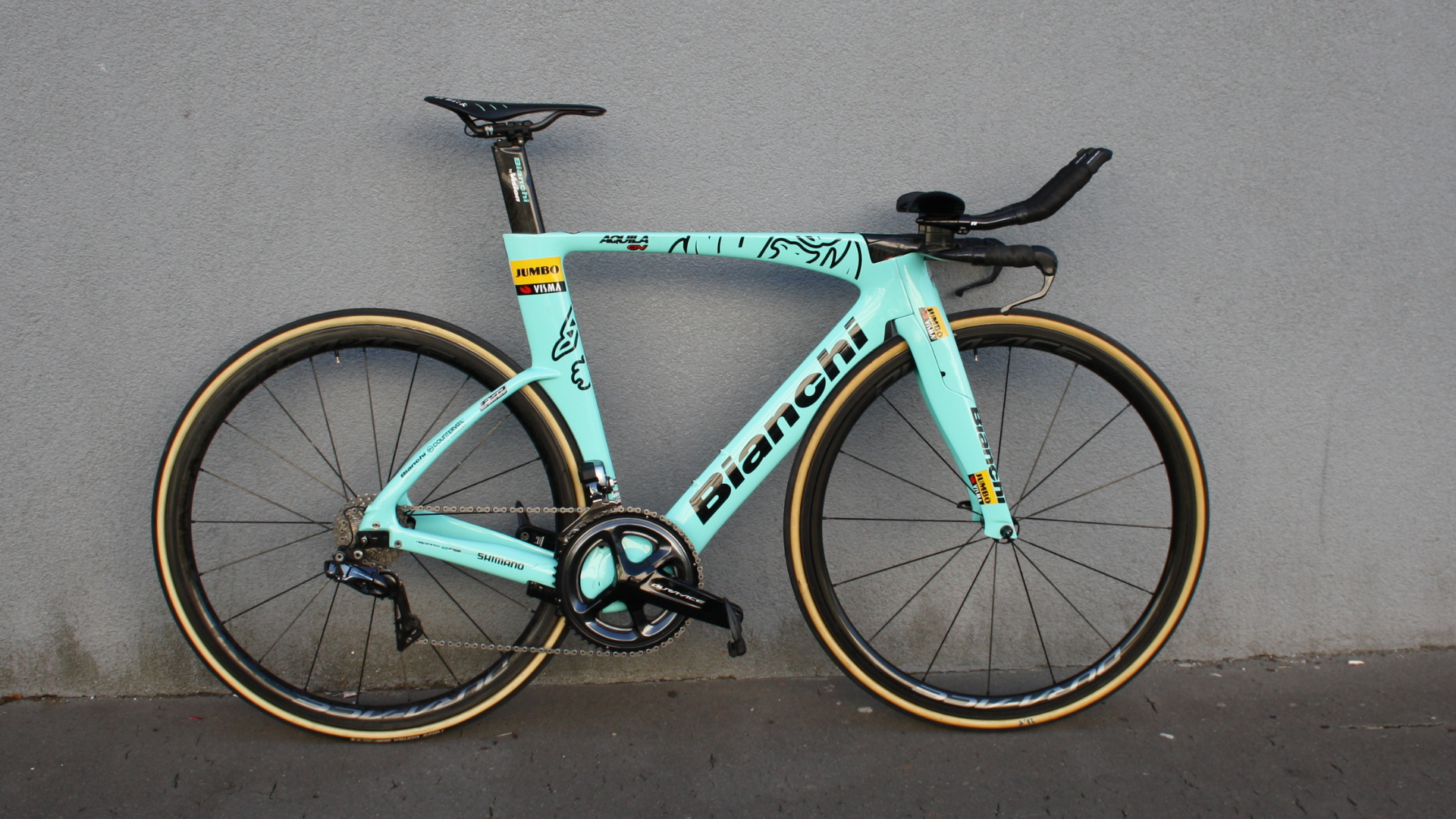 Bianchi Aquila TT – Primož Roglič (9)