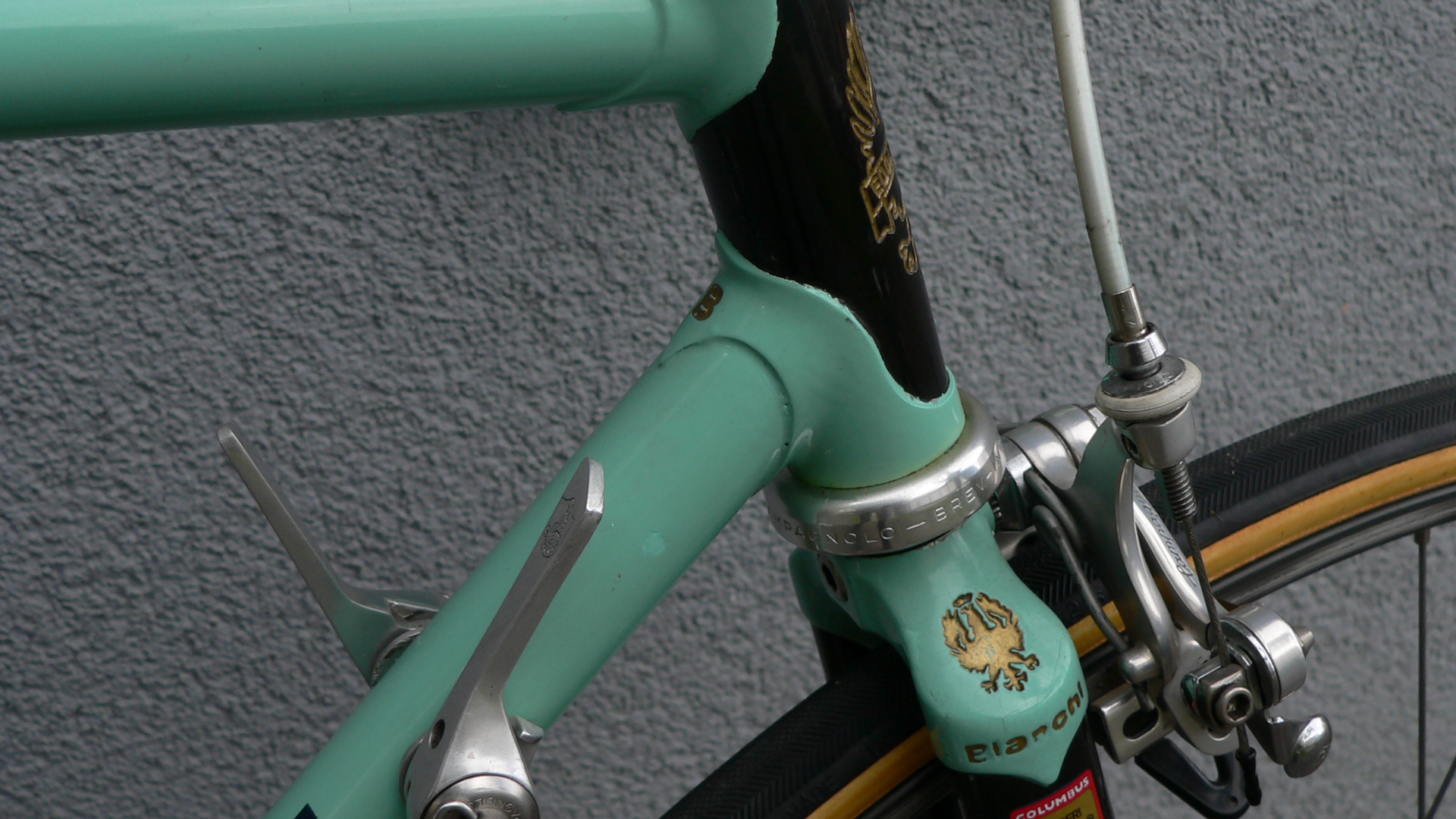 BIANCHI Specialissima X4 Argentin C Record 1st gen (1)