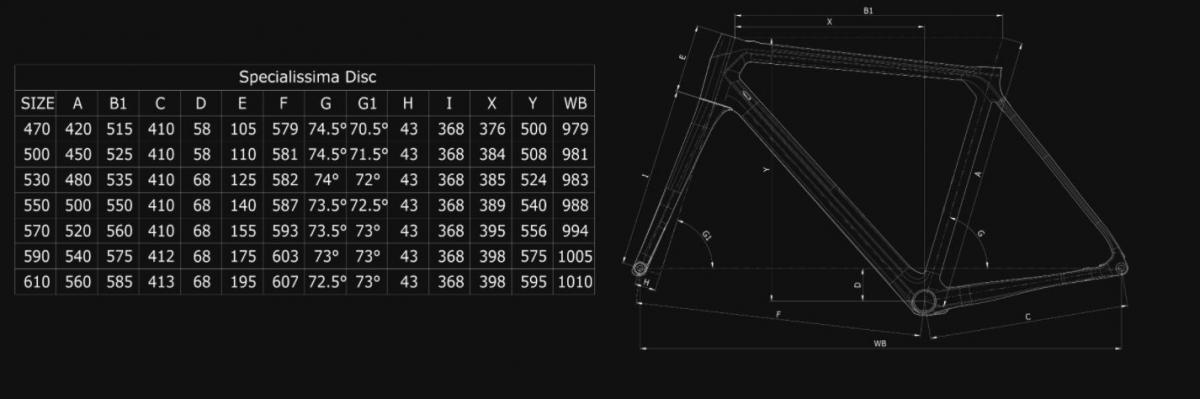 Bianchi Specialissima Disc Super Record EPS 12sp